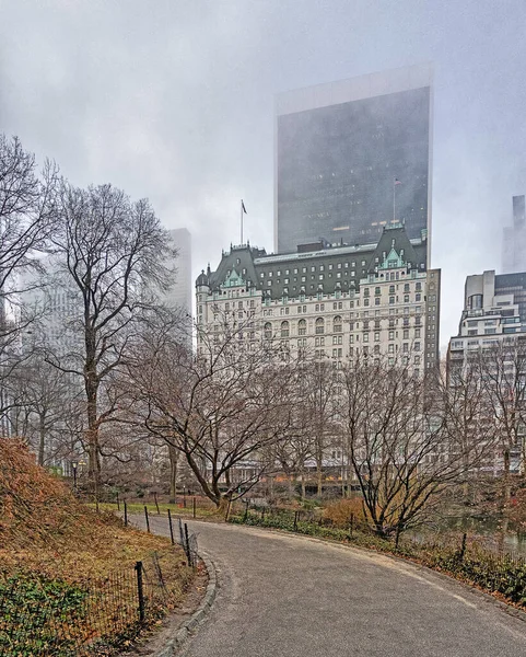 Central Park Invierno Mañana Brumosa Frente Plaza Hotel Imagen de archivo