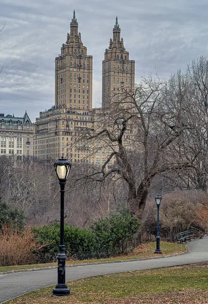 Central Park Winter Ochtend Met Heldere Straatlantaarn Stockafbeelding
