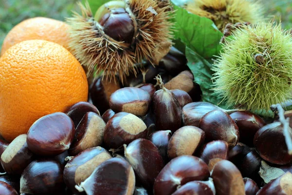 Algunas Castañas Otoño —  Fotos de Stock