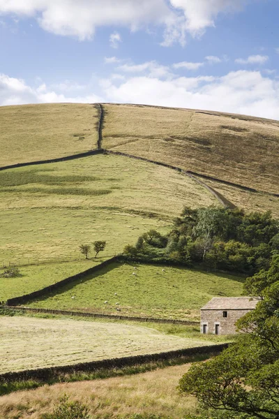 乾燥した石の壁と建物のピーク地区 イギリスの丘の中腹に石造りの農場で区切られたフィールドを持つ田園イギリス風景 — ストック写真
