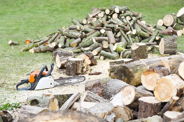 Yerde Taze Kesilmiş Yakacak Odun Yığınları Yanında Testere — Stok fotoğraf