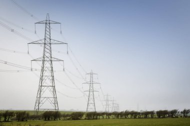 Elektrik direkleri İngiltere'de kırsal kesimde satırı. Mavi gökyüzü ve kopya alanı ile