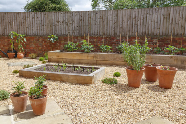 Raised beds in kitchen garden
