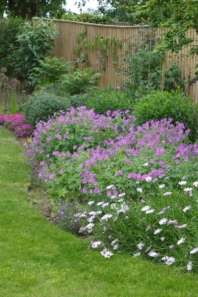 Engelse tuin bloemenborder — Stockfoto