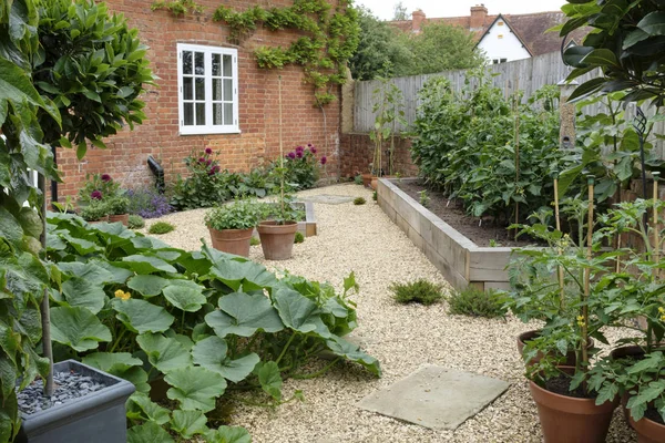 Gemüsegarten Küchengarten — Stockfoto