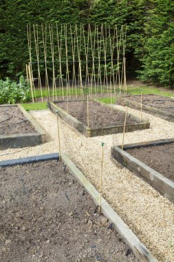 Sebze bahçesi planlama