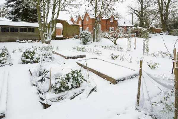 Овощной сад в зимний снег — стоковое фото