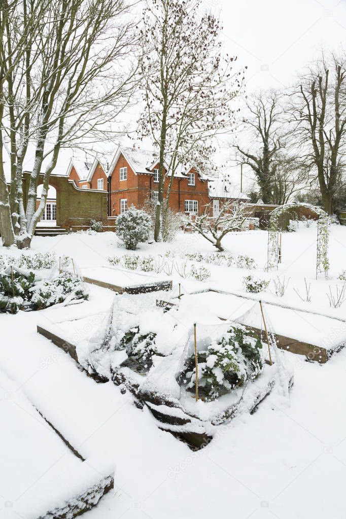 Raised vegetable beds in snow in winter