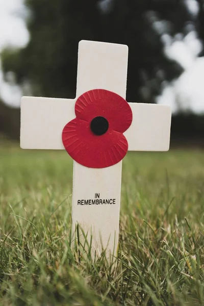 Remembrance day cross with poppy — Stock Photo, Image