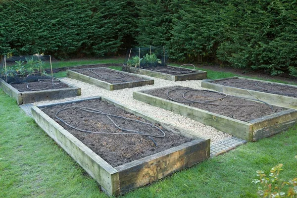 Menjaga Kebun Sayur Musim Dingin Tempat Tidur Kosong Kebun Belakang — Stok Foto