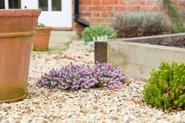 Kleurrijke Tuin Winter Winter Tuinieren Scene Een Huis — Stockfoto