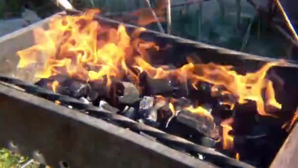Пожар Открытый Жаровня Древесный Уголь Фон — стоковое видео