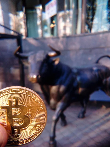 Toro Bitcoin Iso Minería Cripto Crecimiento Hasta — Foto de Stock