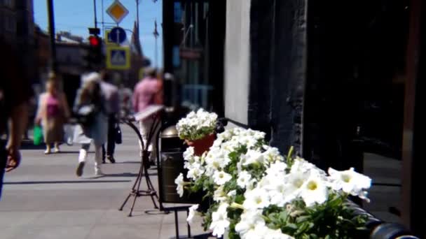 Вуличні Квіти Люди Мегаполіс — стокове відео