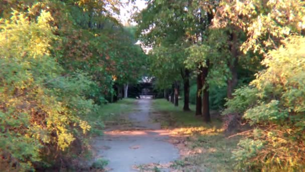 Chodnik Sunset Park Ogród — Wideo stockowe