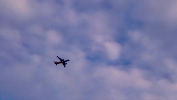 飛行機は雲の旅行 — ストック動画