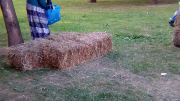 Hay Billet Work Countryside — Stock Video
