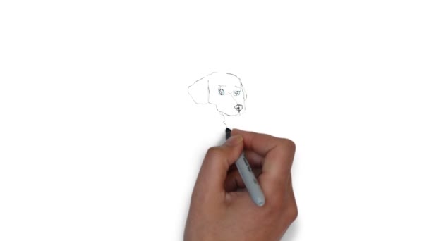 Animação Filhote Cachorro Ano Novo — Vídeo de Stock