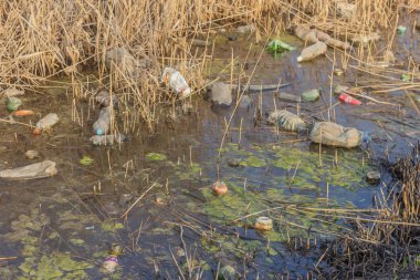 çevre kirliliği nehir çöp plastik