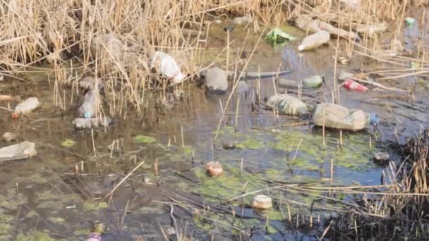 Contaminación Ambiental Agua Plástico Tóxico — Vídeo de stock