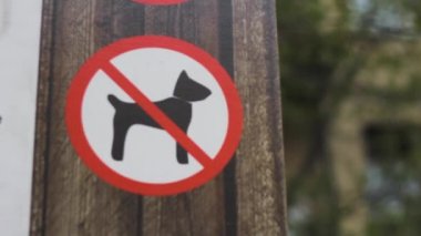 hiçbir köpek ahşap park uyarı işareti
