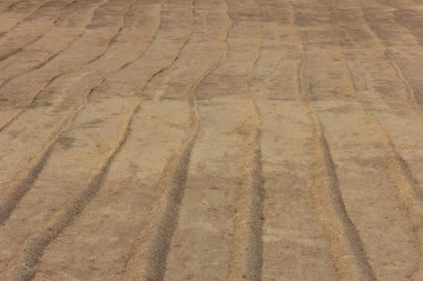 kum tamp doku arka plan yüzeyi