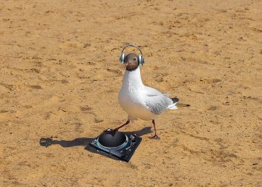 dj martı yaz partisi komik disko