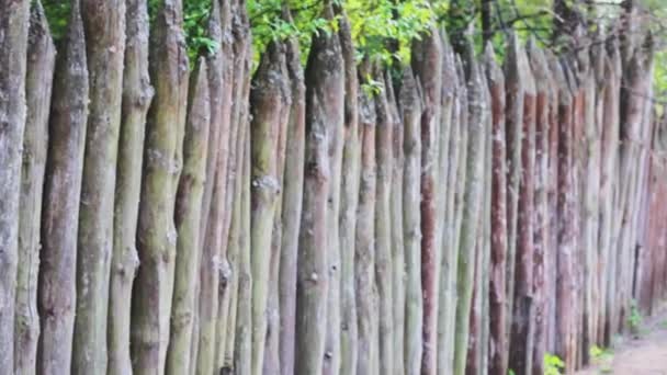 Palisade Wall Wooden Background Textured — Stock Video