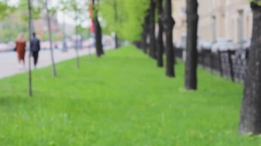 alley park ağaçları arka plan manzara