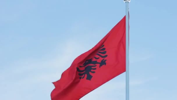 Bandera Albania Nación Europa Patriotismo — Vídeo de stock