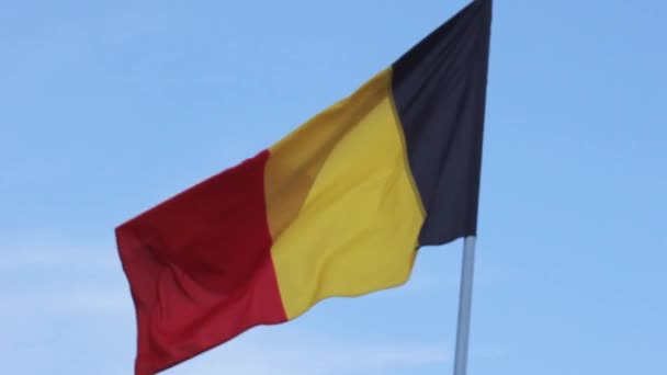 Flagga Belgien Nationella Unionen Europeiska — Stockvideo