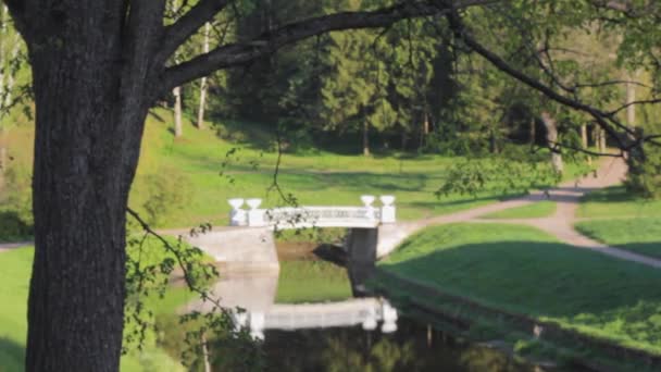 Ponte Parque Paisagem Antiga Viagens — Vídeo de Stock