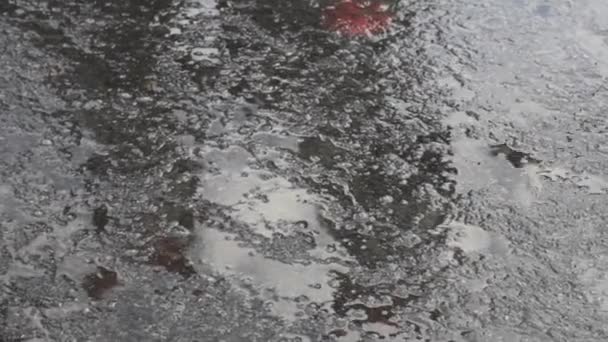 Reflectie Asfalt Straat Regen Plassen — Stockvideo