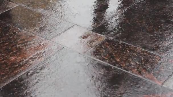 Мокрый Асфальт Людей Погода Тротуар Ноги — стоковое видео