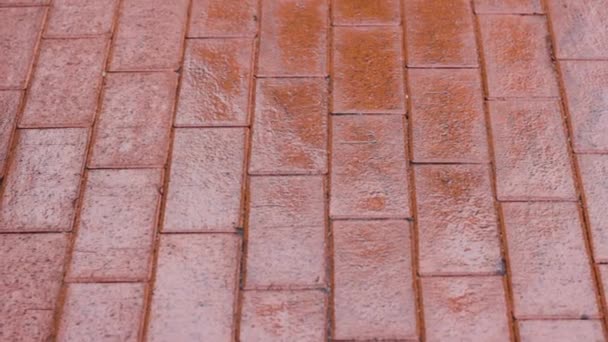 Brick Pavement Wet Texture Background — Stock Video