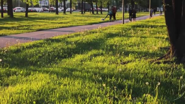 Gente Parque Verde Verano Estilo Vida — Vídeos de Stock