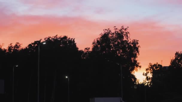 Δέντρα Ηλιοβασιλέματος Μωβ Τοπίο Φύση — Αρχείο Βίντεο
