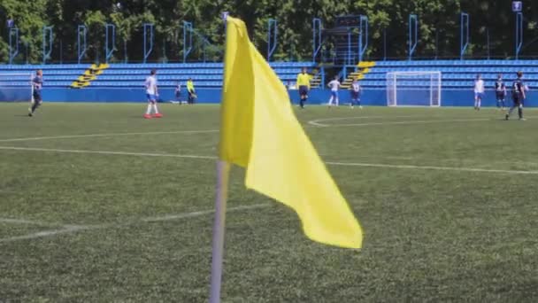 Fútbol Partido Niños Equipo Joven — Vídeo de stock