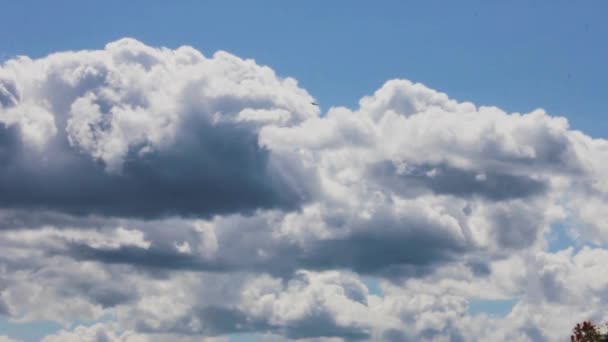 素晴らしい雲天国の自然の天気 — ストック動画