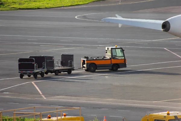 airport logistics luggage trolley  cargo