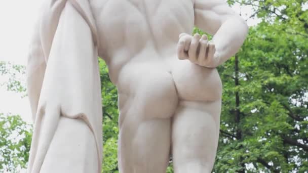 Standbeeld Van Kont Spier Aambeien Sculpturale — Stockvideo