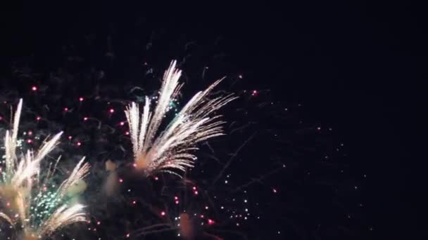 Feux Artifice Fond Célébration Fermer Explosions Multicolores Ciel Noir — Video