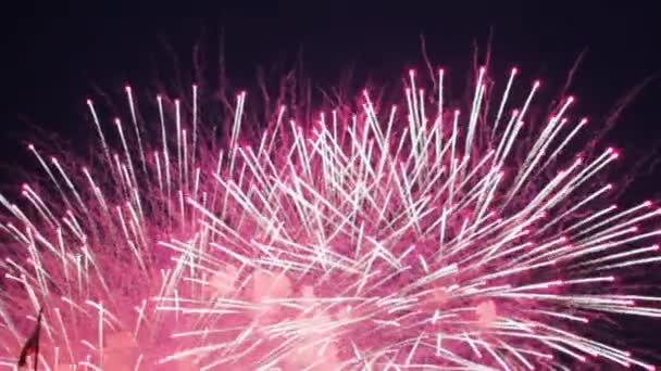 Feuerwerk Rosa Grün Bunte Feier Festival Schließen Bunte Lichter — Stockvideo