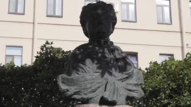 Goethe Staty Skulptur Resa Historia — Stockvideo