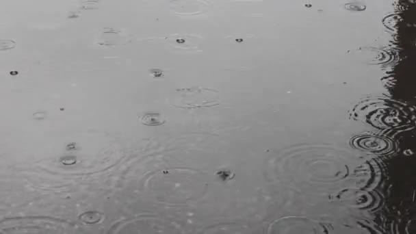 Burbujas Lluvia Charco Fangoso Otoño Superficie — Vídeo de stock