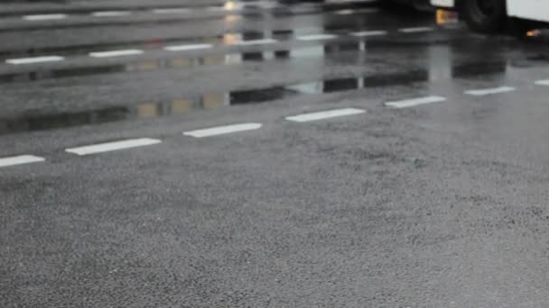 反射交通湿沥青 — 图库视频影像