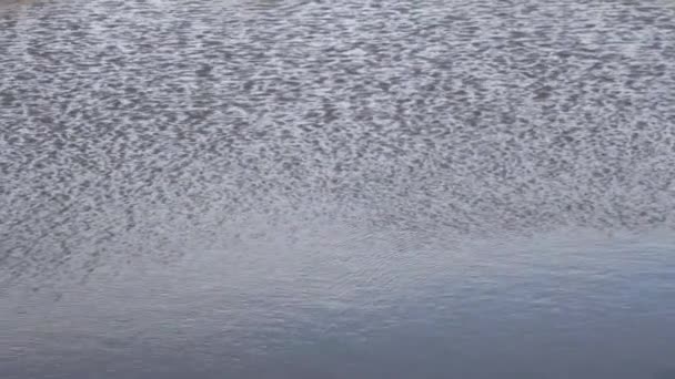 ondulations d'eau texture de surface vague de fond 