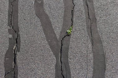 Asfalt çatlaklar üzerinde bitüm yüzey doku hasarlı