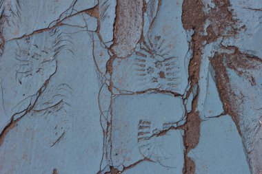 Ayakkabı boya doku insan kurutulmuş