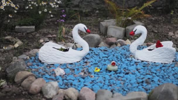 Swans Decoration Garden Landscape Flower Decor — Stock Video